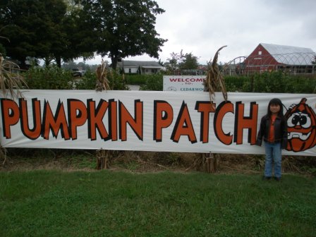 Kasen at Cedarwood Pumpkin Patch